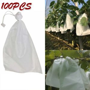 Torby 100pcs Winogowe torby Net do winogron warzywnych Ochrona owoców Work Zastosuj z OS Mesh Against Ofad Pest Control Bird Home Garden