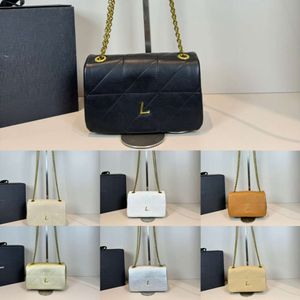 24SS سلسلة مصغرة حقيبة الكتف أكياس المرأة حقيبة مصممة جيمي كروسودي حقيبة اليد الأزياء حقائب رسول جلدية أصلية مع صندوق