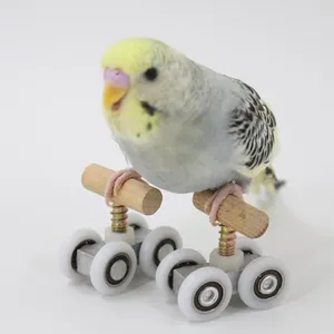 Outros suprimentos de pássaros acessório papagaios patins durável mini metal papagaio equipamento de treinamento polia