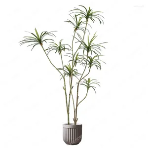 Dekorativa blommor dracaena marginata växt inomhus vardagsrum golv bonsai nordisk stil mjuk dekoration ornament