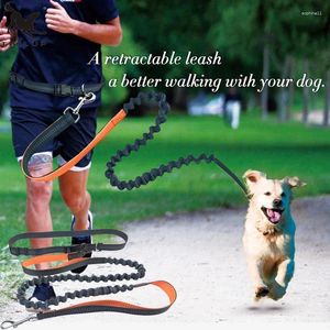 Dog Collars Running Leashes Reflective Elasticity Hands Free Pet Collar With Adjustable Waist Rope For Walking Jogging