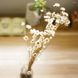 Fiori decorativi 30 pezzi margherite naturali conservate delicate essiccate fai da te puntelli bouquet di fiori eterni bouquet (bianco)