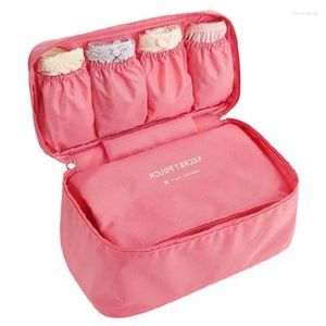 Cosmetic Bags Bra Underware Drawer Organizers Travel Storage Dividers Box Bag Socks Briefs Cloth Case Clothing Wardrobe Accessories Supplies