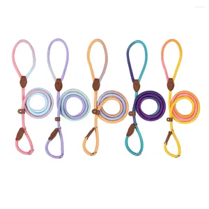 Dog Collars Colorful Gradient Nylon P Chain Adjustable Explosion-proof Durable Leash