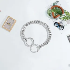 Hundhalsar Pet Neck Circle Stylish Stainless Steel Halsband Bekväm kedjekrage Fashionabla tillbehör för älskade