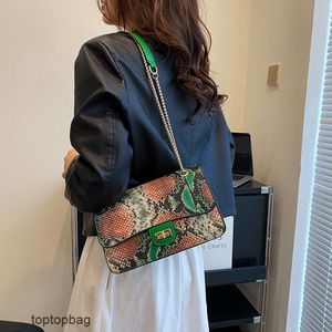 Designer Borse a tracolla di moda di lusso Moda modello di pelle di serpente Temperamento Borsa piccola quadrata 2023 Borsa da donna a catena con tracolla a tracolla in stile occidentale nuovo