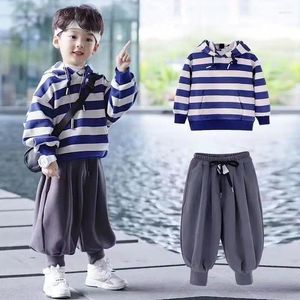Kläderuppsättningar pojkar och flickor faller vintermodeller 2024 Korean baby sport cool stilig vadderad förtjockad tröja byxor kostym