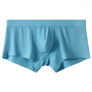 Cuecas modal boxer troncos macio bulge bolsa homens respirável calcinha confortável roupa interior masculino com nervuras listrado briefs