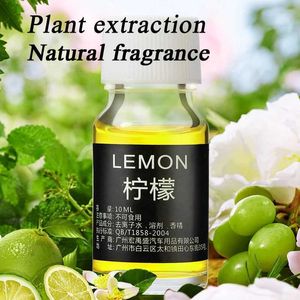 Ambientador de ar carro 10ml ambientador carro perfume cheio de planta natural óleo essencial fragrância difusor umidificador perfume 240323