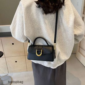 Designer Luxury fashion Shoulder bags New Womens Bag 2024 Korean Fashion and Fashionable Handheld Small Square Bag Single Shoulder Crossbody Bag for Women