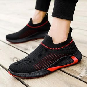 Casual Shoes 2024 Men's Sports and Leisure Flying Trend Korean All-Match Running Autumn Winter