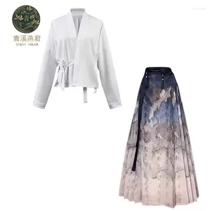 Arbeitskleider aus der Song-Dynastie aus Hanfu, verbessertes Langarm-Cardigan-Hemd, chinesisches Pferd, Rock, Anzug, Herbst, altes Kostüm