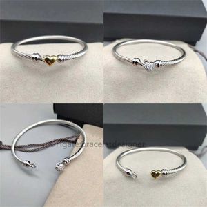 Modedesigner armband lyxiga smycken mode av hög kvalitet klassisk armband tidlös kabel 3mm kärlekslinje silver guld vardagsmatch