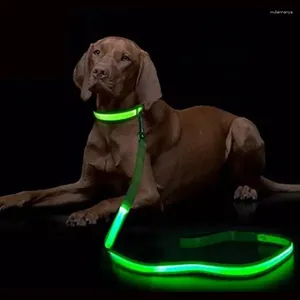 Dog Collars LED Light Up Leash Luminous Rope Lead For Safety Flashing Glowing Collar Harness Electronic Pet Accessories