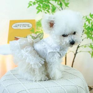 Cão vestuário de alta qualidade tecido filhote de cachorro roupa respirável vestido de princesa com decoração de flor 3d malha emenda pet para a primavera