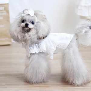 Dog Apparel Summer Thin Pet Clothes Fashion Simple Cotton White Green Korean Princess Dress For Small Medium Yorkshire Poodle Skirts