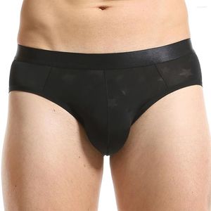 Underbyxor män sexiga mesh tunt is silke transparent bekväm thong underkläder utbuktning påse trosor underkläder män shorts