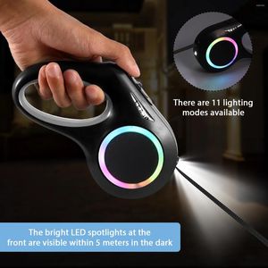 Collari per cani Guinzaglio retrattile automatico da 5 m LED luminoso ricaricabile Cinghie di luce principali per cuccioli Flexi Walking Running Lead