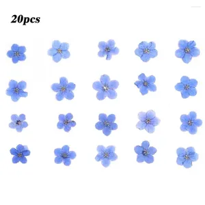 Dekorativa blommor 20st Glöm mig inte torkat blommhuvud Epoxi hartsmycken Fyllning Diy Nail Art Stickers Card Phone Case