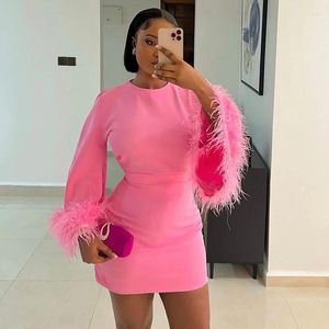 Casual Dresses 2024 Spring Women's Pink Round Neck Flare Long Sleeve Feather Short Skirt Ladies Elegant Commute Party Dress