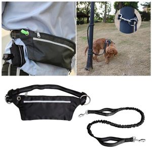 Dog Collars Lash Running Belt Reflective Bag多機能屋外アクティビティY5GB