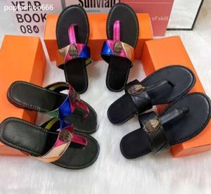 Slipare Sandaler Kurt Geige Sandal Flat Shoes Sliders Eagle Head Rainbow Mule Summer Beach Flip Flop Platform Mainstream Shoes 2334