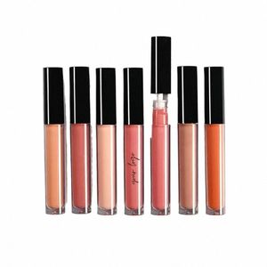 Nude Lip Gloss Prywatna etykieta OEM Liquid Lipstick Niestandardowe matowe wodoodporne okrucieństwo wegańskie czarne rurki bez logo Bulk J3O1#