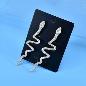 Kolczyki Dangle Punk Long Tassel Crystal Drop for Women Boho Shiny Snake Kształt Rhinestone Earring Prezentacja Biżuterii Prezenty