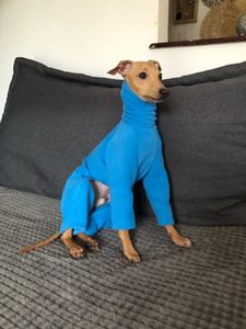 Roupas de cachorro de gola alta no inverno casaco de lã quente é adequado para roupas de galgo pequeno italiano Whitty 240319