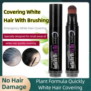 Color 20g Diy Disposable Grey Hair Dye Pen Fashion Black Color Hair Dye White Hair Coloring Cream Mild Fast Hair Color Stick