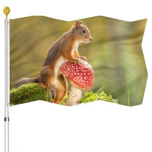 Akcesoria wiewiórka zabawna flaga zwierząt podwójnie zszyta na zewnętrzną domową dekorację domową flagi z 2 mosiężnymi przelotkami dla kobiet mężczyzn
