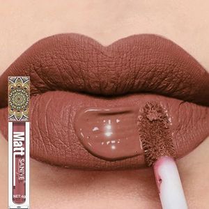 Impermeável fosco de lábio fosco de brilho marrom nude pigmento escuro vermelho duradouro Lipstick líquido Lipstick Mulheres de maquiagem Lip Glaze 1pcs 240320