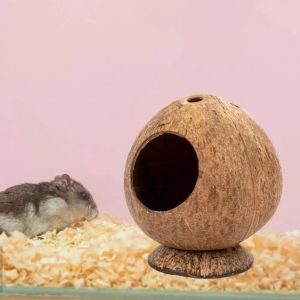 Gabbie Nascondiglio Piccolo Rifugio per Addestramento Nido Animali Domestici Masticare Guscio Capanna Esercizio Giocattolo per Animali Criceto Burfree Cocco Cavia Casa Sicura