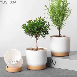 Planters Pots Plant Plant وعاء مزدوج الطبقات النضرة الشباك الخضراء مستديرة الطبقة المزدوجة زهرة النباتات الخضراء الصغيرة وعاء زهرة صغيرة 240325