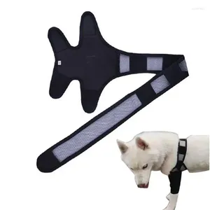 Abbigliamento per cani Bretelle per gambe Tutore di supporto per canino anteriore per fascia per ginocchio ACL strappata piccola media