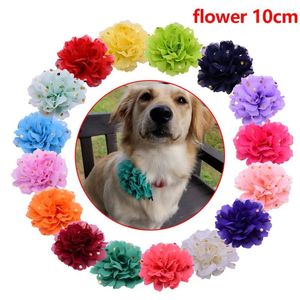 Hundkläder 50/100 Ta bort Pet Collar Charms 30st Cat Bowties Fashion Big Flower Design Supplies Grooming Accessories