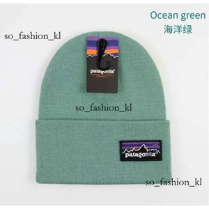 Patagoni Beanie Designer Studios Knitted Hat Men Women Skull Wool Mountain Cap Smiling Beanie Tide Street Hip-Hop Hats Fashion 233 Patagonie