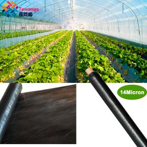 Nets Tewango 14Micron Agricultural Black Plastic Mulching Film Strawberry Tomato Cover Garden Weeds Control Biodegradable Film