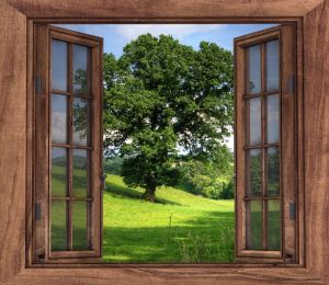 Çıkartmalar Ücretsiz Nakliye 3D Kahverengi Ahşap Pencere Duvar Yol Sanat Fotoğraf Su Geçirmez Çıkarılabilir Duvar Kağıdı Orman Durumu Vinil Ev Dekor