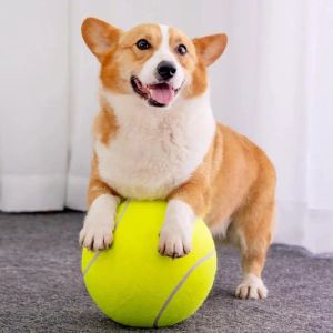 Brinquedos para animais de estimação de tamanho grande inflável perseguindo bola de tênis para animais de estimação brinquedo bola de mascar brinquedo diversão ao ar livre jogando bola brinquedos para grande animal de estimação