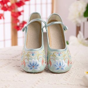 2024 Women's Casual Shoes 673 Spring Chinese Style Elegant Qipao Single Ethnic Shallow Mouth Embroidered