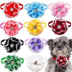 Vestuário para cães 10/50pcs flor em forma de gravata borboleta para animais de estimação acessórios de beleza ajustáveis bonitos e produtos de gravata decorativa de gato