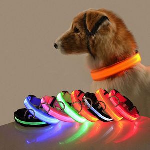 Neue Haustier Hund LED leuchtende Halsbänder leuchtende blinkende Halskette Outdoor Walking Nacht Sicherheitsbedarf