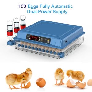 Accessories Mini Egg Incubator with Drawer Type, Automatic Water Incubator, Ionic Waterbed Replenishment, Temperature Control, 100 Eggs