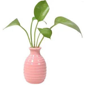 Vaser växt hydroponic keramisk vas kreativ främjar hälsosam tillväxtplanter för trädgårdsentusiastälskare gåva