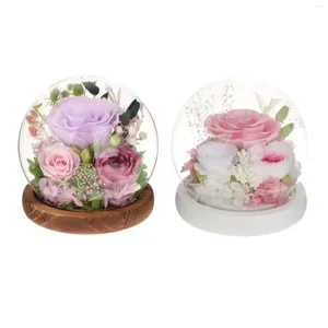 Flores decorativas preservadas cravo real rosa presente exclusivo longo prazo presentes do dia das mães iluminam em cúpula de vidro para sua namorada esposa