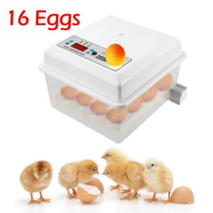 Tillbehör 16 ägg Automatisk inkubator Digital Control Hatchery Triocottage Inkubator med Auto Turner för Chicken Duck Goose Pigeon Eggs