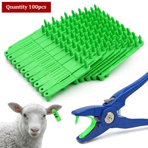 Tags 100pcs Livestock Sheep Goat Ear Tags Ear Laser Typing Head Earrings for Farm Animals Idetification Card