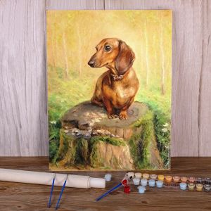 Número Animal Dog Dachshund Diy Paint by Numbers Complete Kit Tintas de óleo 40*50 Placas por números pinturas decorativas para manutenção