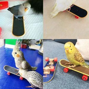 Brinquedos 5 pçs/set papagaio brinquedos de treinamento mini carrinho de compras anéis de treinamento skate suporte poleiro periquito cockatiel entretenimento